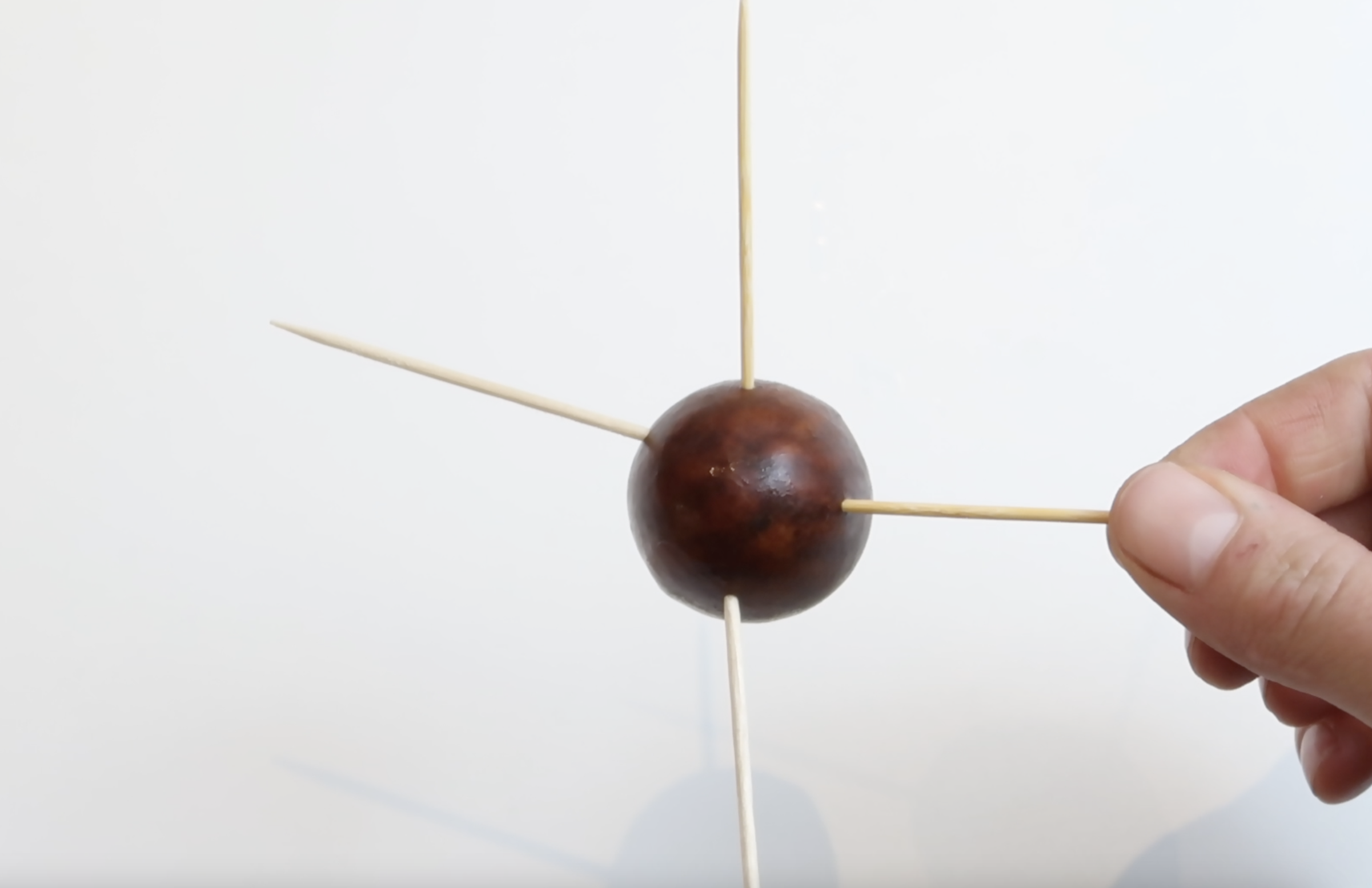 Avocadopit laten groeien