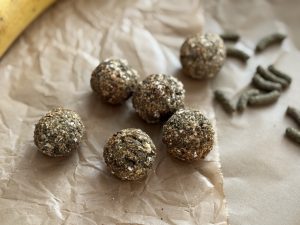 zelf konijnensnoepjes maken